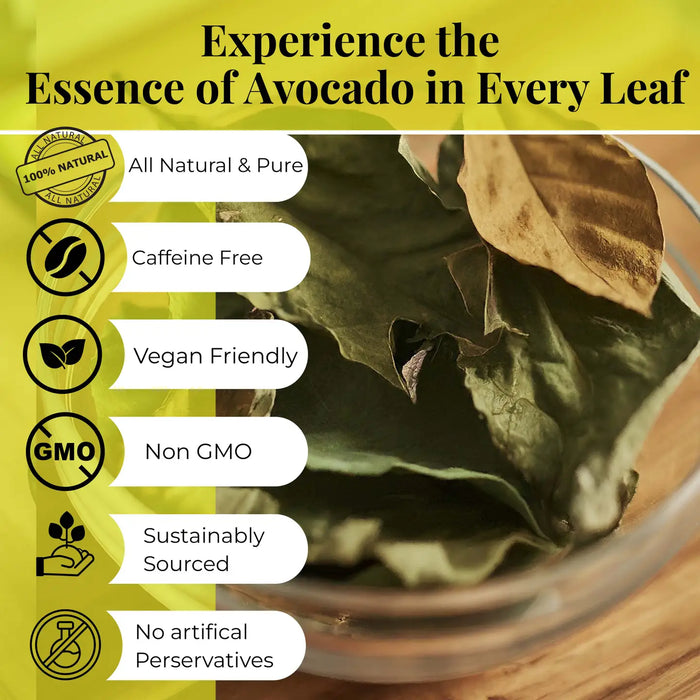 2.6 OZ DRIED AVOCADO LEAVES, HOJAS DE AGUACATE, LOOSE LEAVES - CASE OF 12