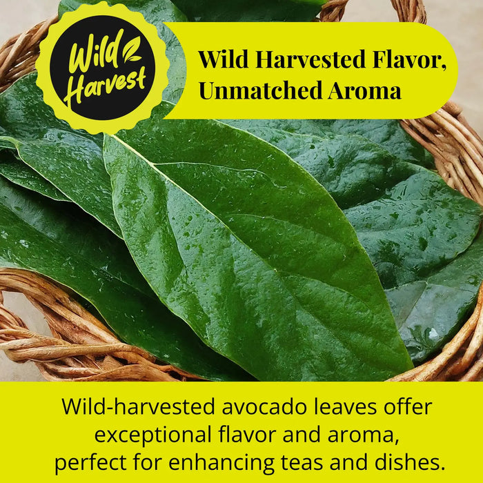 2.6 OZ DRIED AVOCADO LEAVES, HOJAS DE AGUACATE, LOOSE LEAVES - CASE OF 12