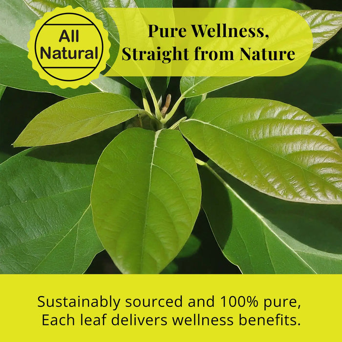 2.6 OZ DRIED AVOCADO LEAVES, HOJAS DE AGUACATE, LOOSE LEAVES - CASE OF 12