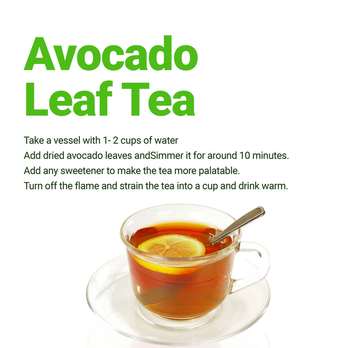 2.6 OZ DRIED AVOCADO LEAVES, HOJAS DE AGUACATE, LOOSE LEAVES - CASE OF 12