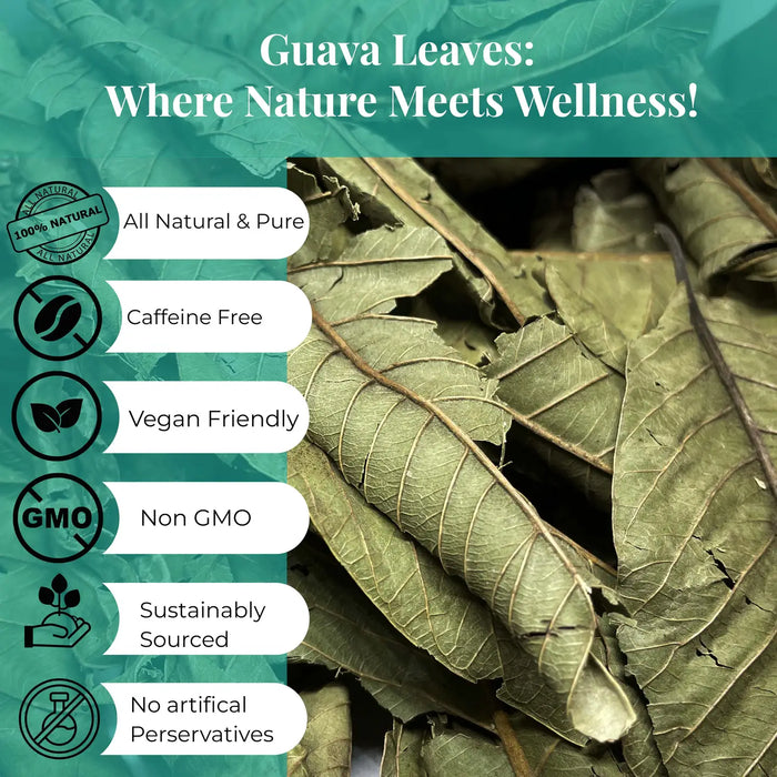 DRIED GUAVA LEAVES 2.6 OZ. | ALL NATURAL HERBAL TEA - CASE OF 12