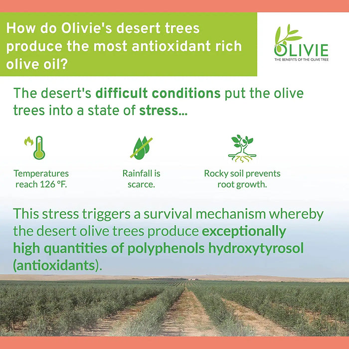 OLIVIE DERMAPSORIA ORGANIC OLIVE LEAF EXTRACT | 80 CAPSULES - CASE OF 2