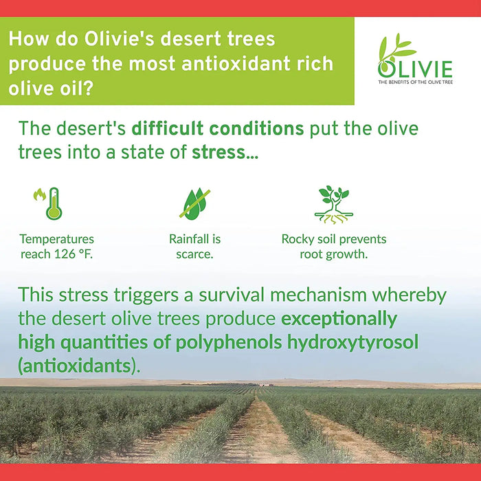 OLIVIE FORCE ORGANIC OLIVE LEAF EXTRACT | RICH IN POLYPHENOL - CASE OF 2