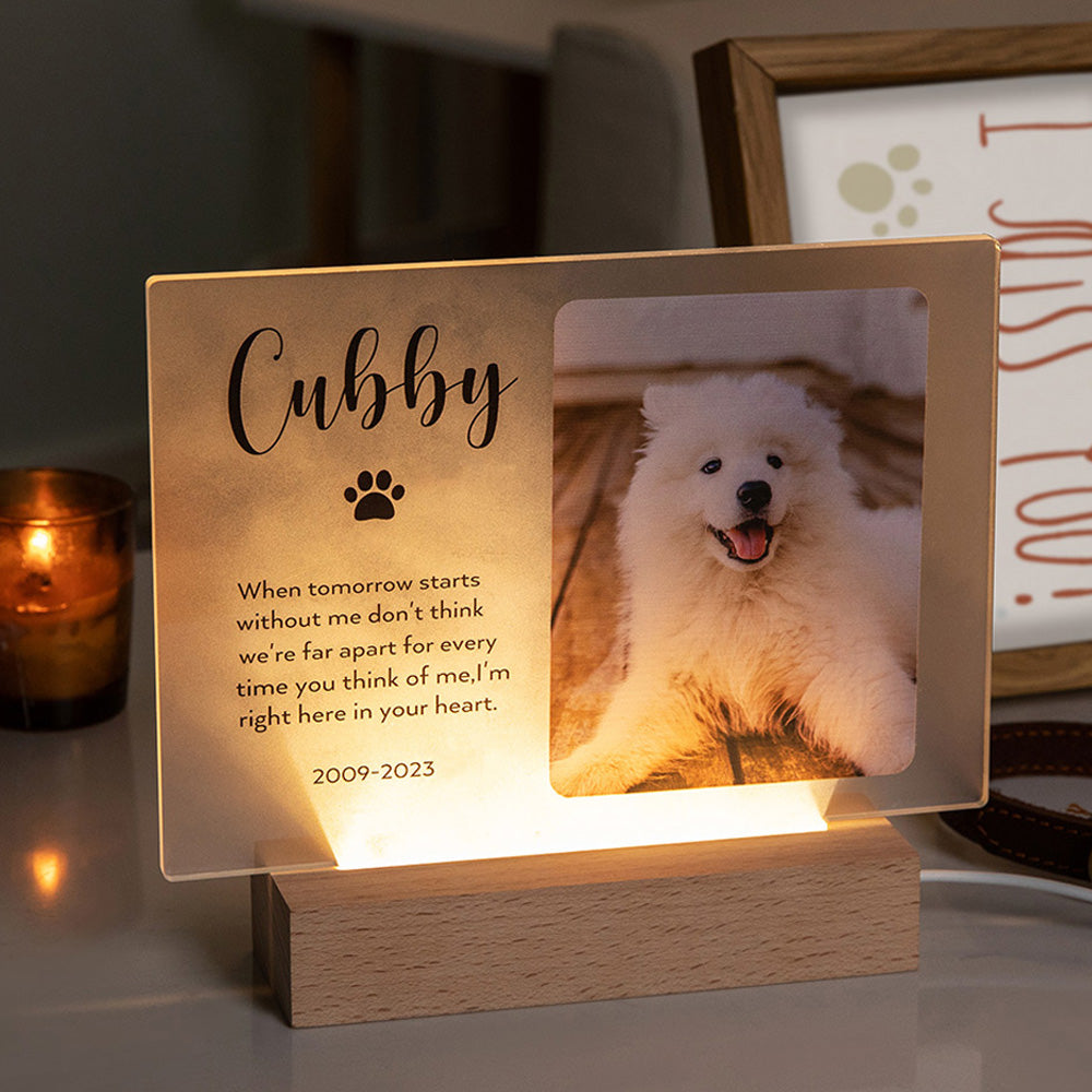 PERSONALIZED NAME LIGHT UP PET MEMORIAL PLAQUE