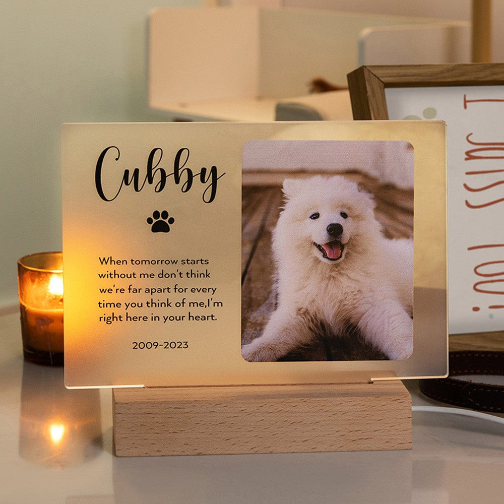 PERSONALIZED NAME LIGHT UP PET MEMORIAL PLAQUE