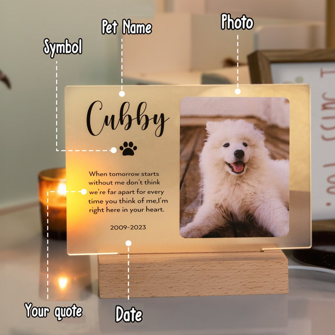PERSONALIZED NAME LIGHT UP PET MEMORIAL PLAQUE