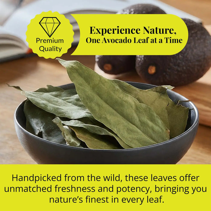 2.6 OZ DRIED AVOCADO LEAVES, HOJAS DE AGUACATE, LOOSE LEAVES - CASE OF 12