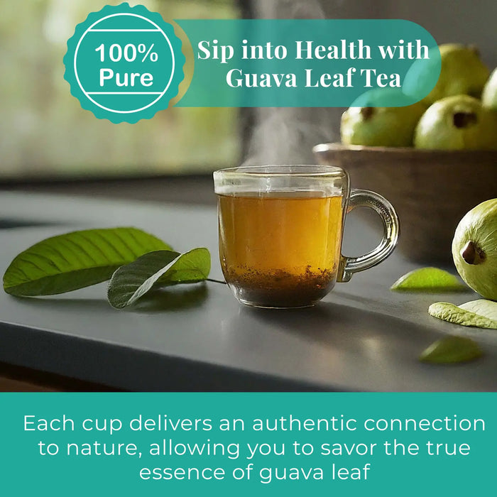 DRIED GUAVA LEAVES 2.6 OZ. | ALL NATURAL HERBAL TEA - CASE OF 12