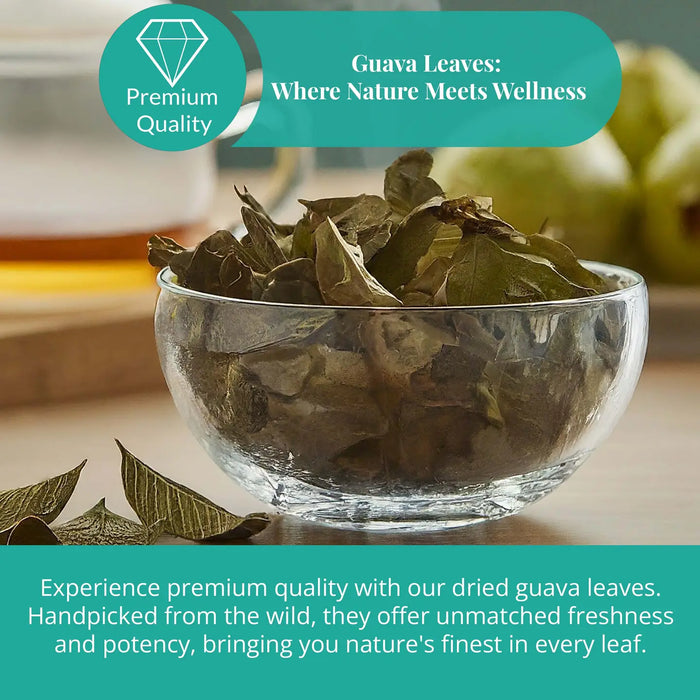 DRIED GUAVA LEAVES 2.6 OZ. | ALL NATURAL HERBAL TEA - CASE OF 12