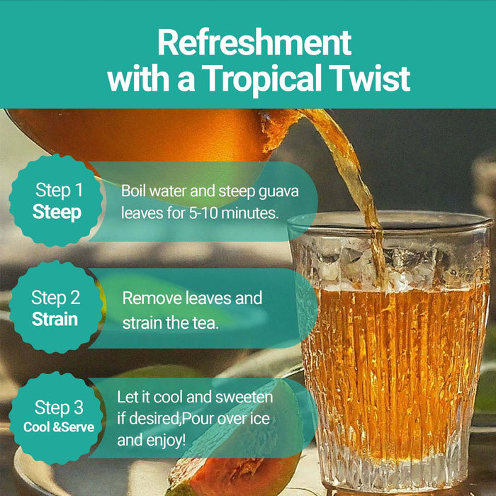 DRIED GUAVA LEAVES 2.6 OZ. | ALL NATURAL HERBAL TEA - CASE OF 12