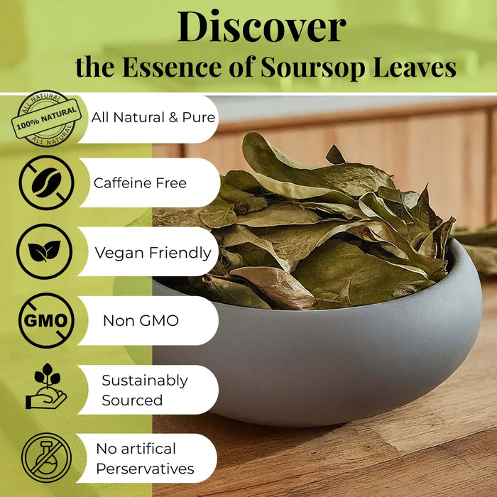 200+ SOURSOP LEAVES, HOJAS DE GUANABANA DRIED GRAVIOLA LEAVES - CASE OF 12