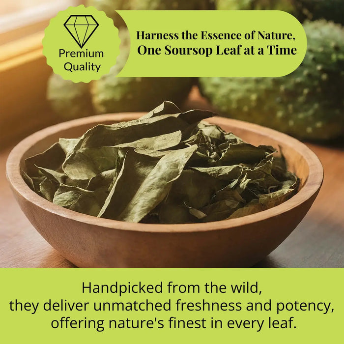 200+ SOURSOP LEAVES, HOJAS DE GUANABANA DRIED GRAVIOLA LEAVES - CASE OF 12